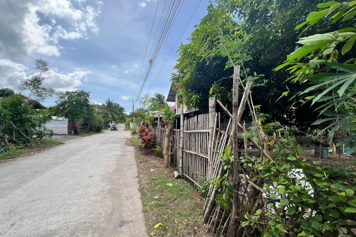 Land for Sale in Poblacion II, Dauin, Negros Oriental – photo 2