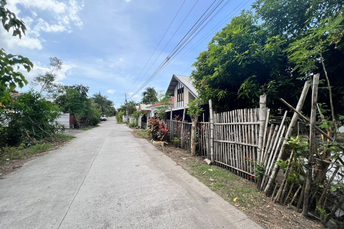 Land for Sale in Poblacion II, Dauin, Negros Oriental – photo 4