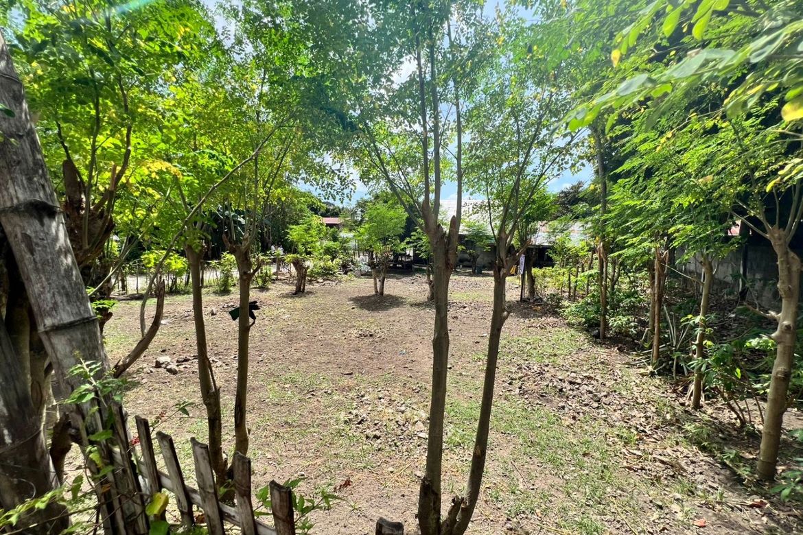 Land for Sale in Poblacion II, Dauin, Negros Oriental – photo 8