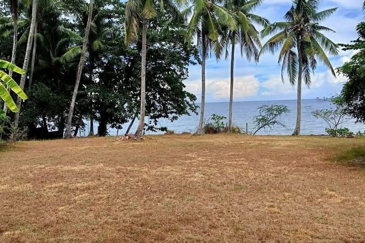 Land for Sale in Poblacion II, Dauin, Negros Oriental – photo 3