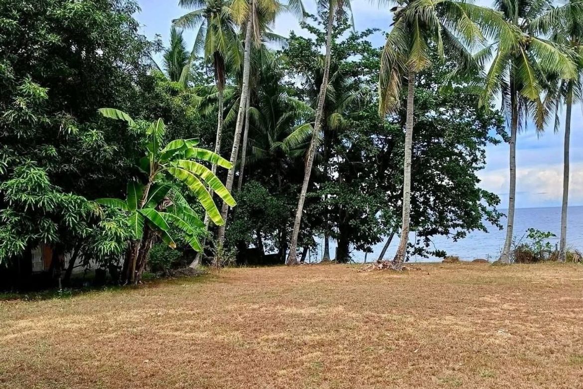 Land for Sale in Poblacion II, Dauin, Negros Oriental – photo 4