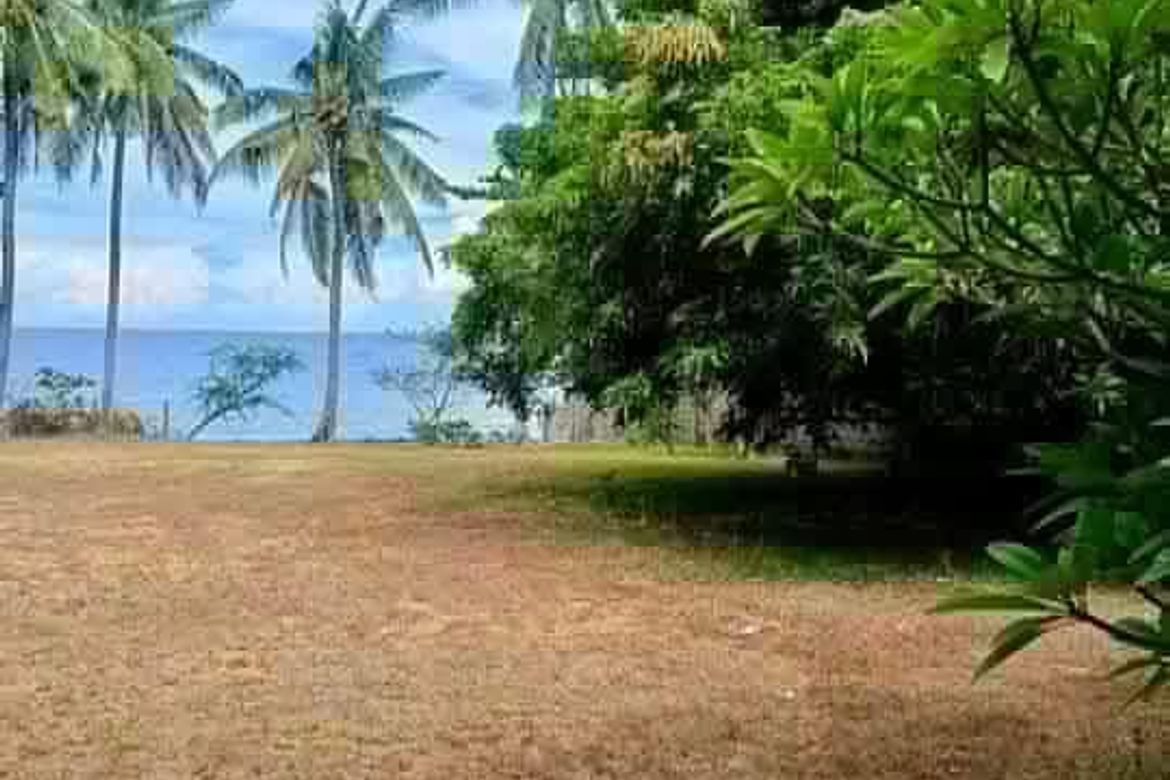 Land for Sale in Poblacion II, Dauin, Negros Oriental – photo 5