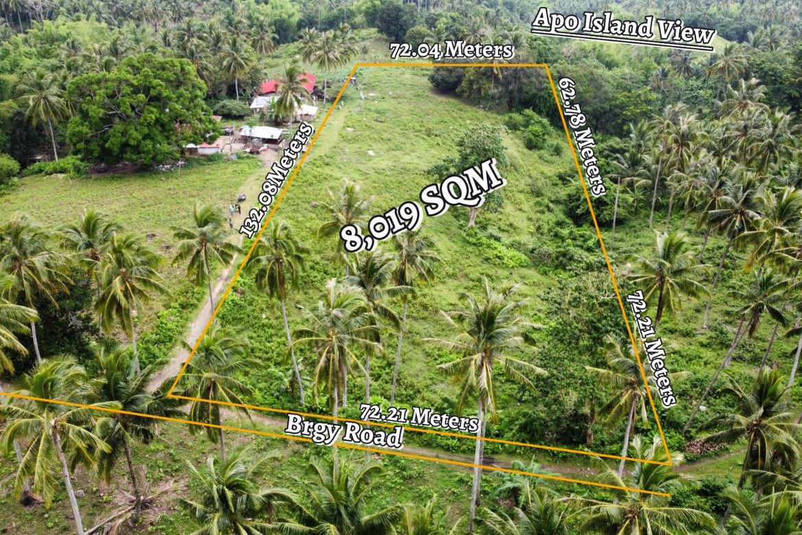 Land for Sale in Poblacion II, Dauin, Negros Oriental