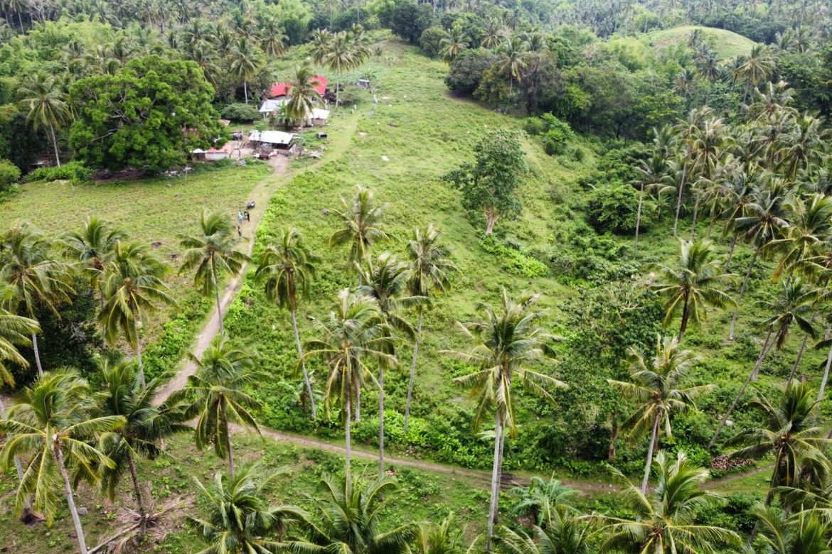 Land for Sale in Poblacion II, Dauin, Negros Oriental – photo 4
