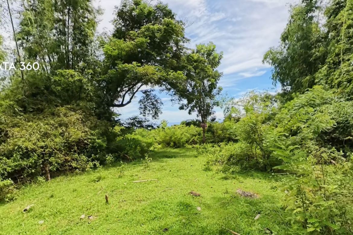Land for Sale in Poblacion II, Dauin, Negros Oriental