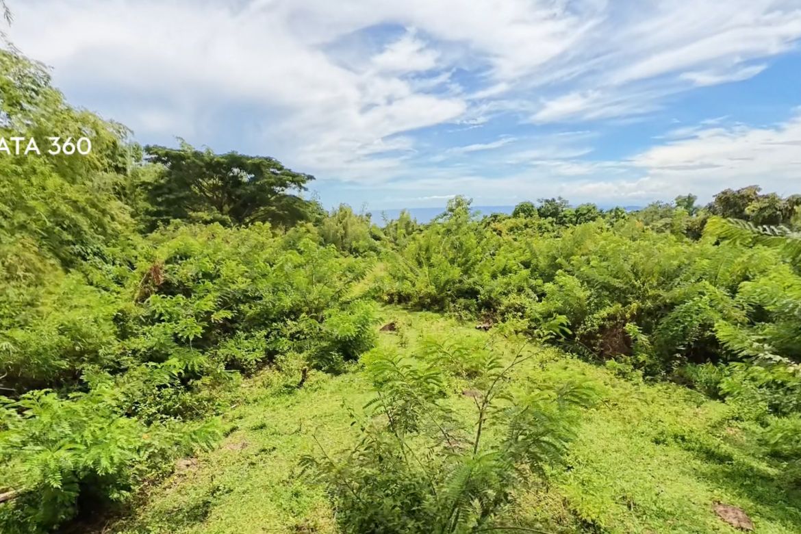 Land for Sale in Poblacion II, Dauin, Negros Oriental – photo 2