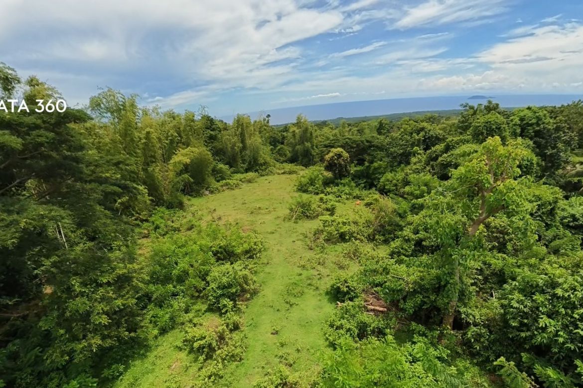Land for Sale in Poblacion II, Dauin, Negros Oriental – photo 3