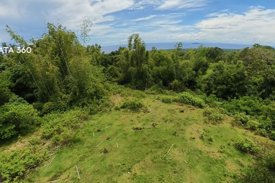 Land for Sale in Poblacion II, Dauin, Negros Oriental – photo 5