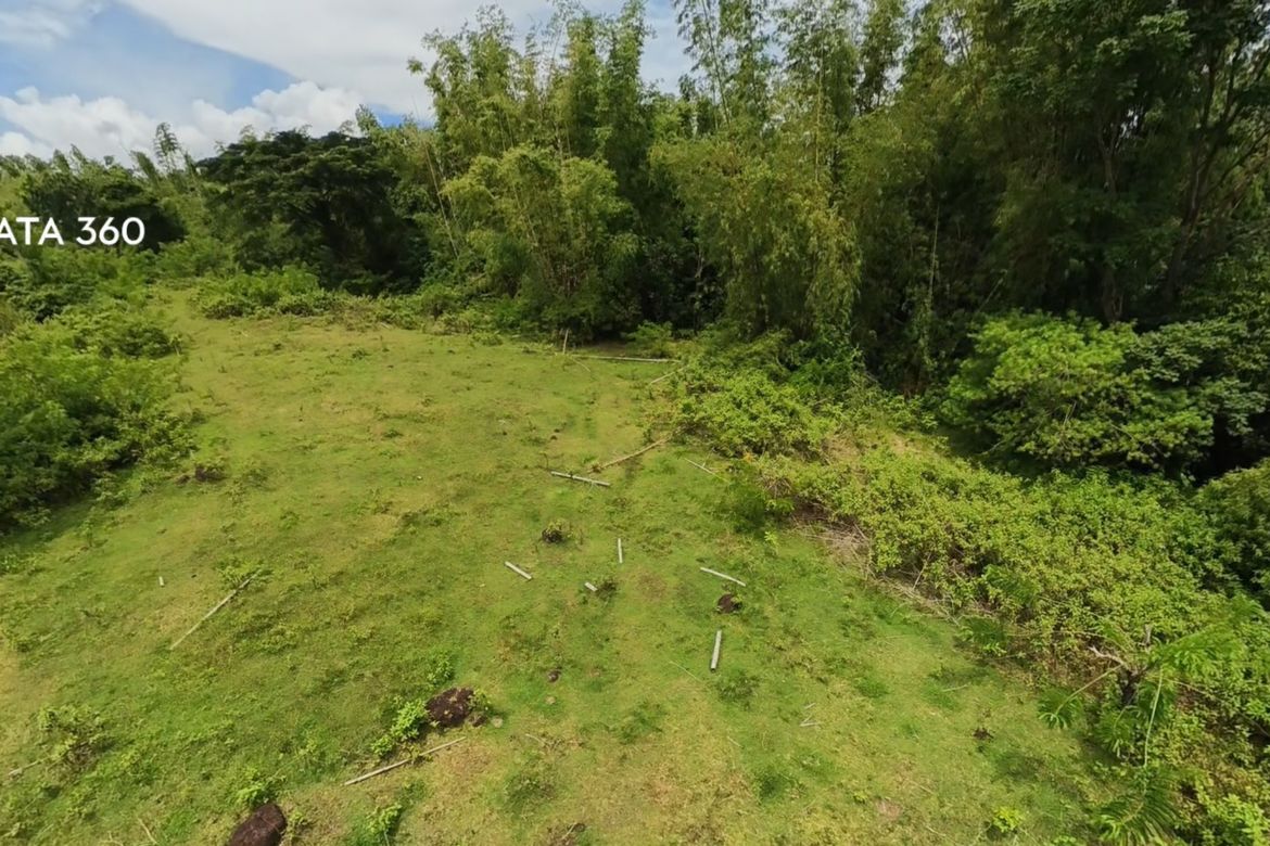 Land for Sale in Poblacion II, Dauin, Negros Oriental – photo 6