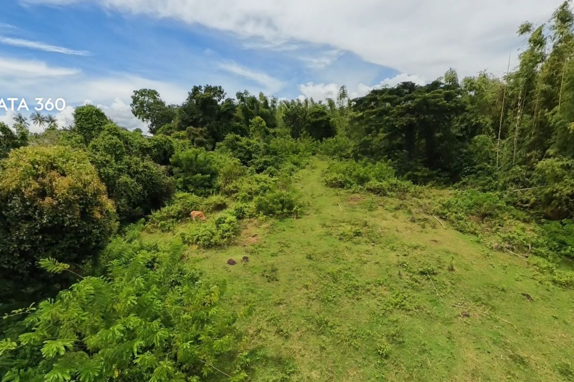 Land for Sale in Poblacion II, Dauin, Negros Oriental – photo 7