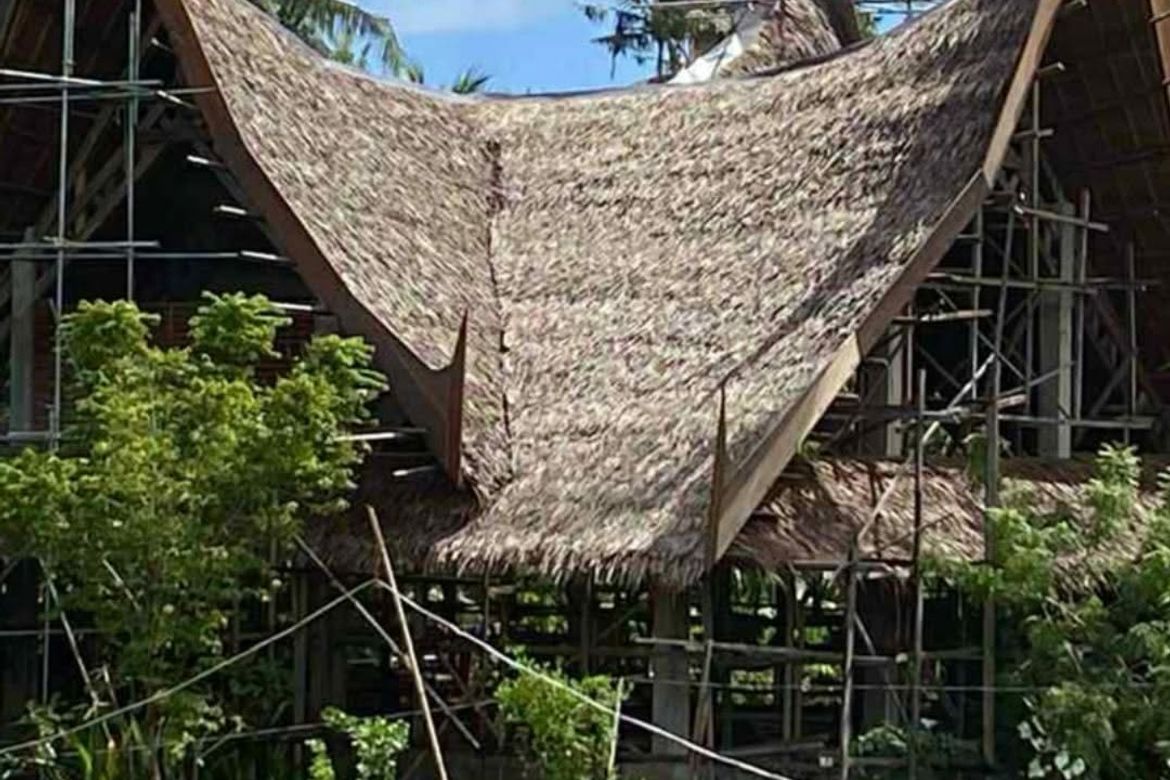 Land for Sale in Poblacion II, General Luna, Surigao del Norte – photo 2
