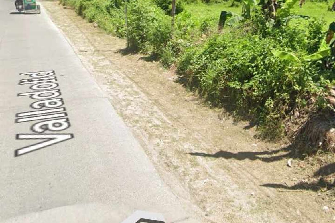 Land for Sale in Poblacion III, Carcar, Cebu