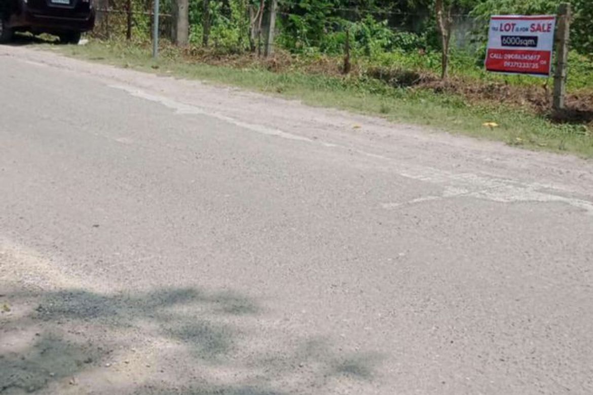 Land for Sale in Poblacion III, Carcar, Cebu – photo 3
