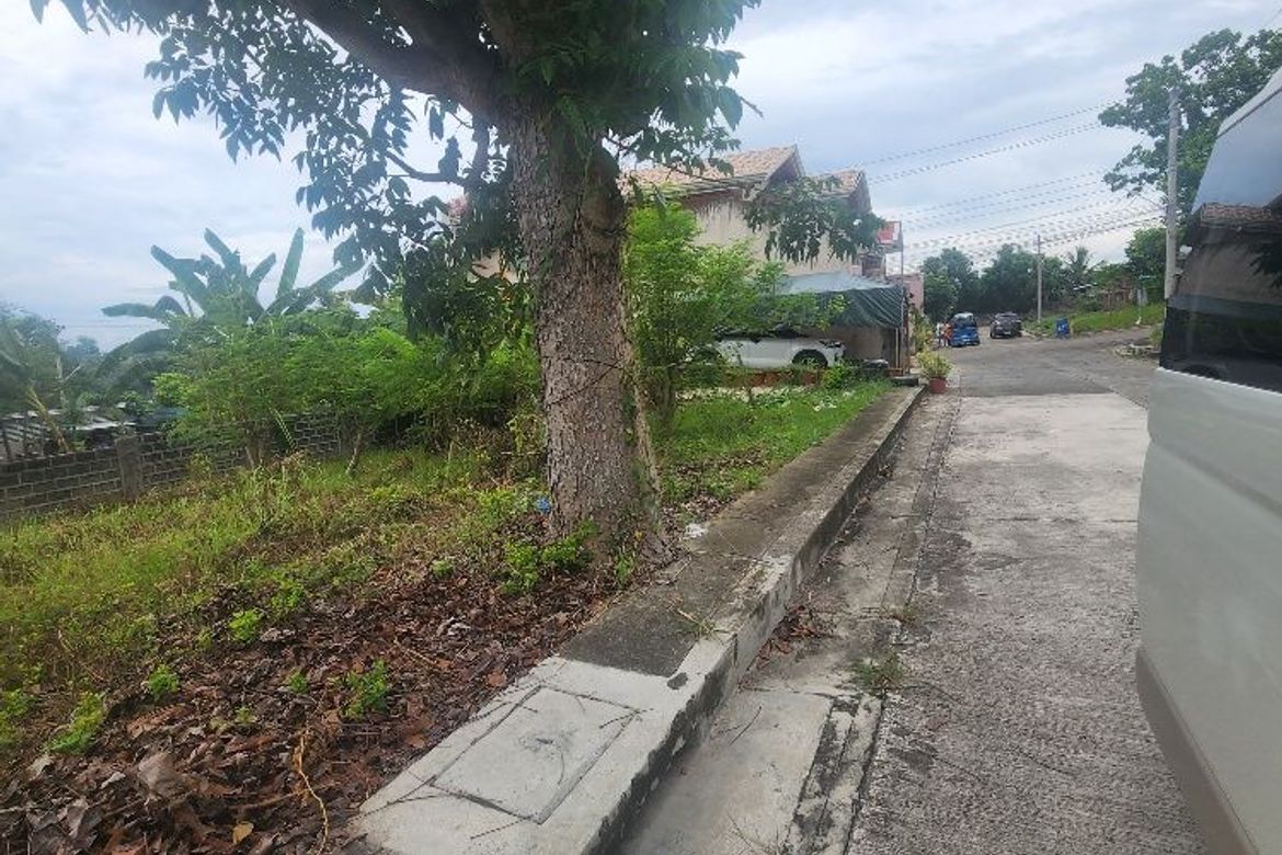 Land for Sale in Poblacion III, Carcar, Cebu – photo 5