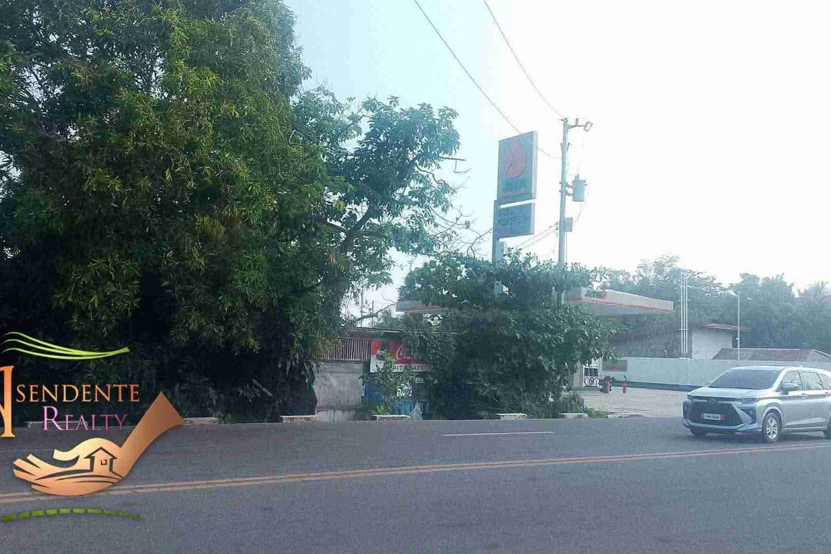 Land for Sale in Poblacion III, Enrique B. Magalona, Negros Occidental