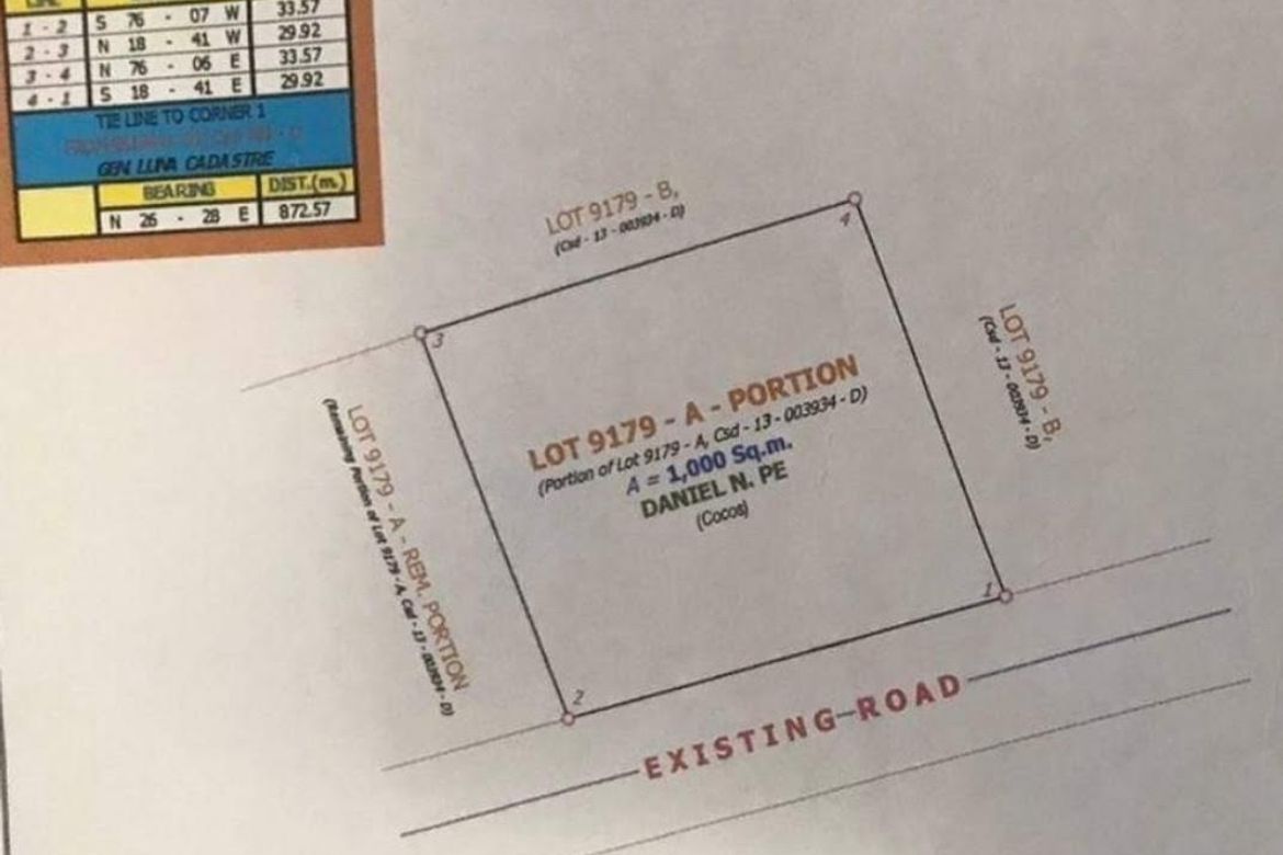 Land for Sale in Poblacion III, General Luna, Surigao del Norte – photo 4