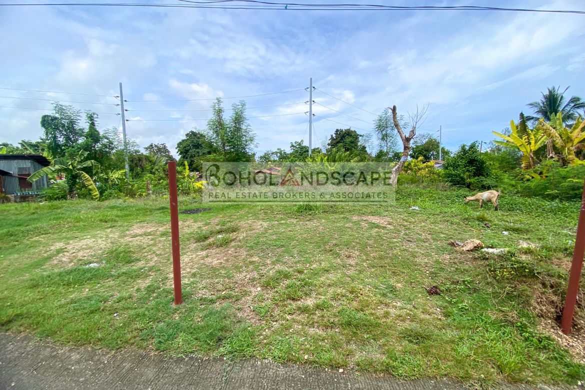 Land for Sale in Poblacion III, Tagbilaran, Bohol – photo 2