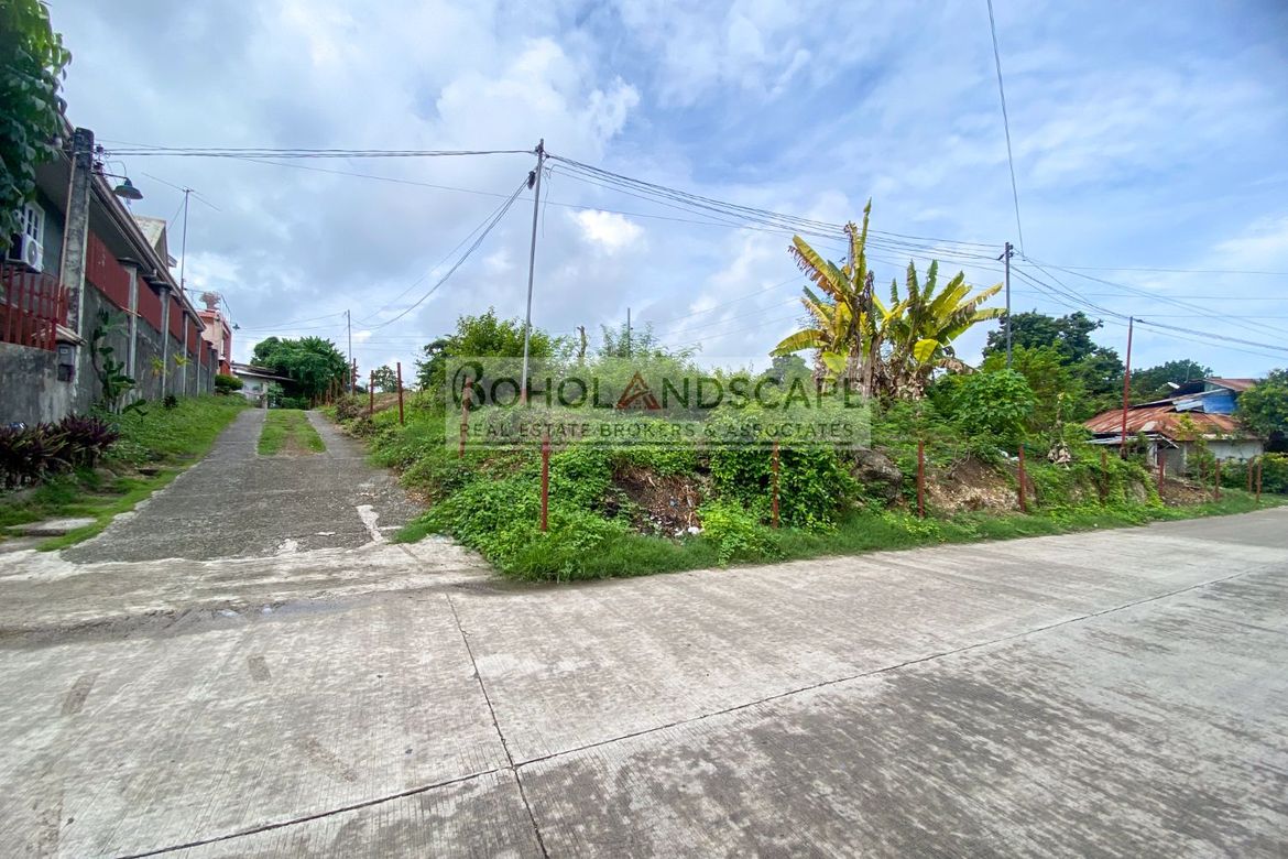 Land for Sale in Poblacion III, Tagbilaran, Bohol – photo 5