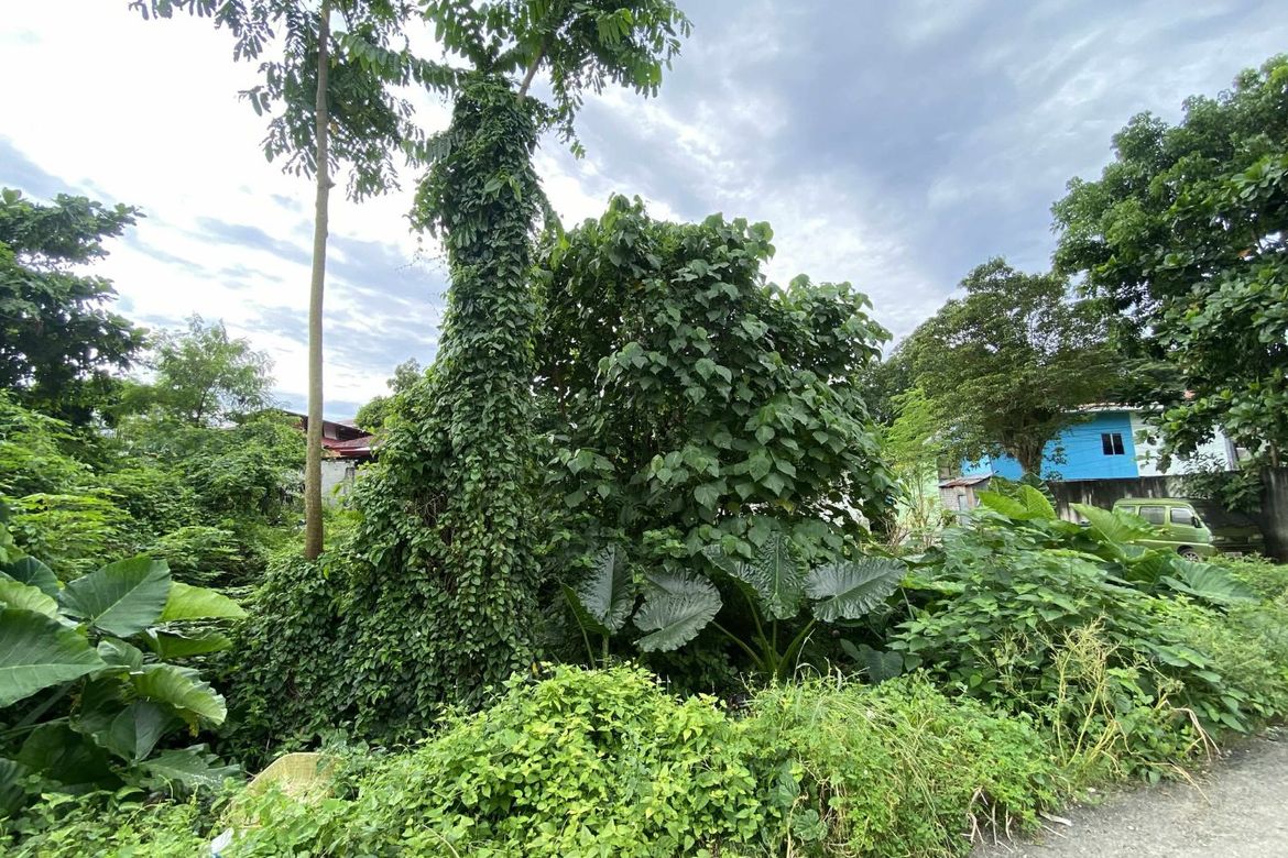 Land for Sale in Poblacion III, Tagbilaran, Bohol