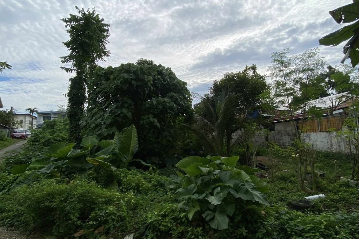 Land for Sale in Poblacion III, Tagbilaran, Bohol – photo 4