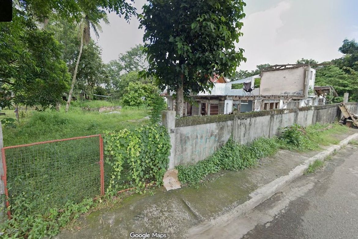 Land for Sale in Poblacion Ilaya, Passi, Iloilo – photo 2