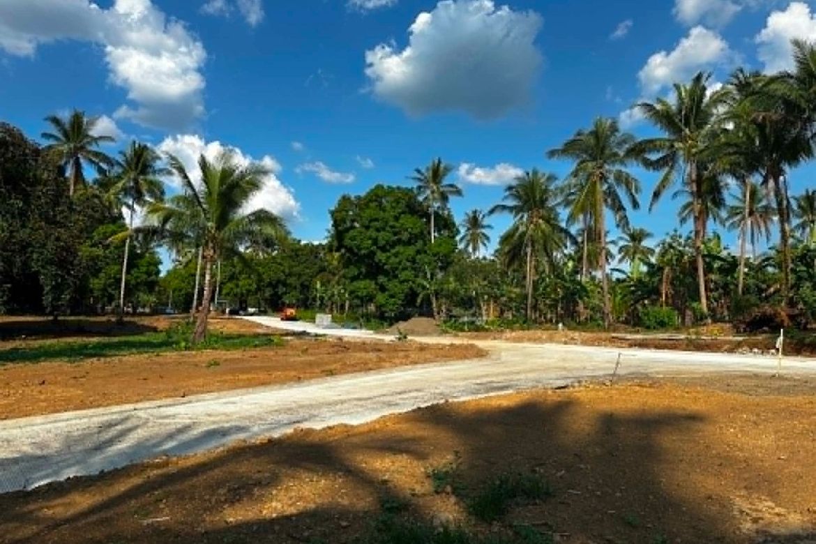 Land for Sale in Poblacion IV, General Emilio Aguinaldo, Cavite – photo 3