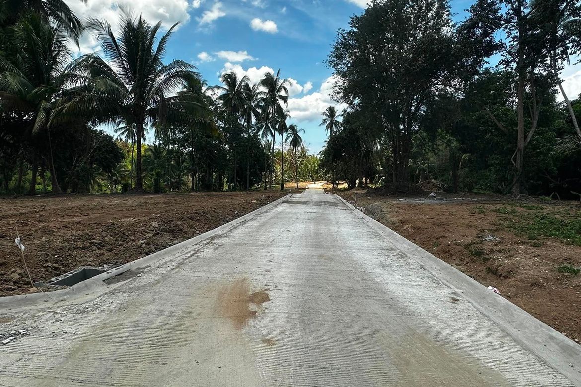 Land for Sale in Poblacion IV, General Emilio Aguinaldo, Cavite – photo 7