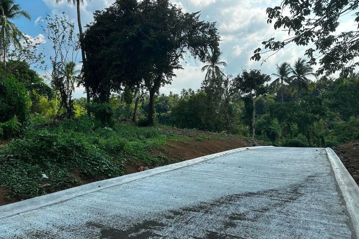 Land for Sale in Poblacion IV, General Emilio Aguinaldo, Cavite – photo 8