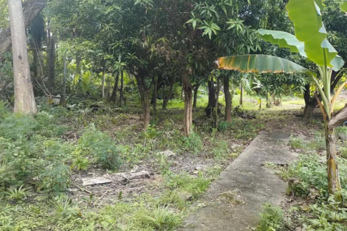 Land for Sale in Poblacion, Liloan, Cebu – photo 5