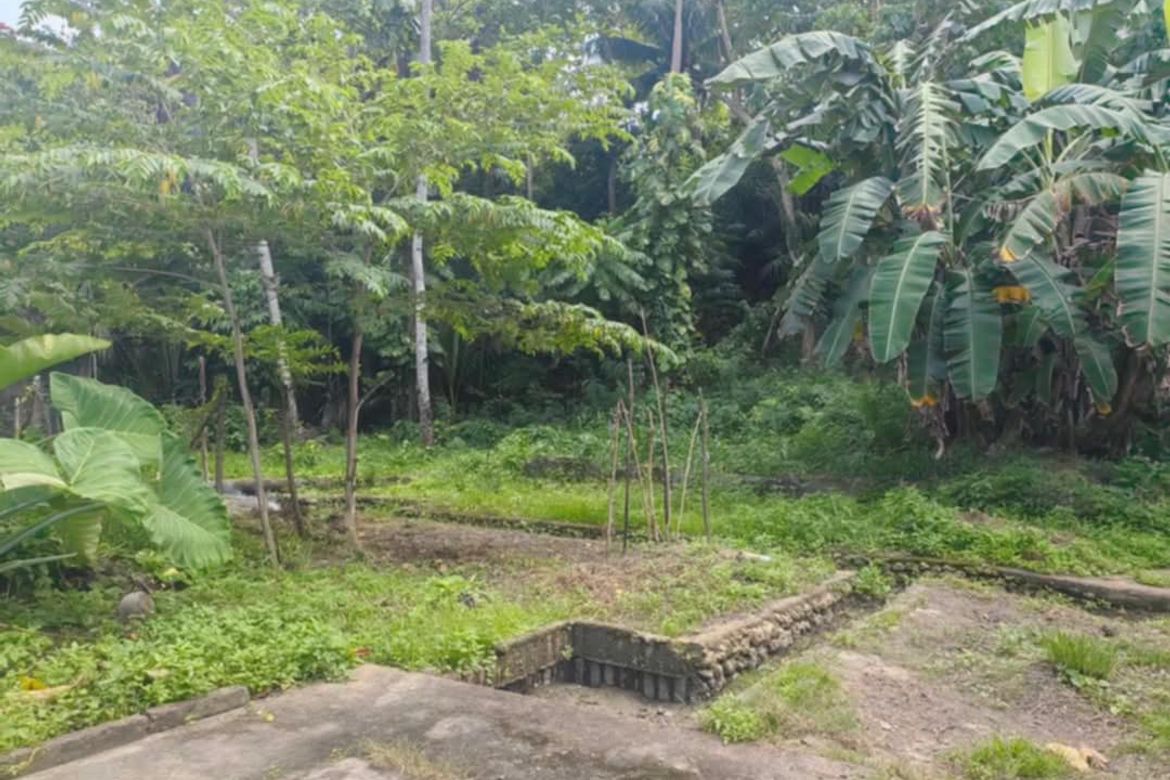 Land for Sale in Poblacion, Liloan, Cebu – photo 6