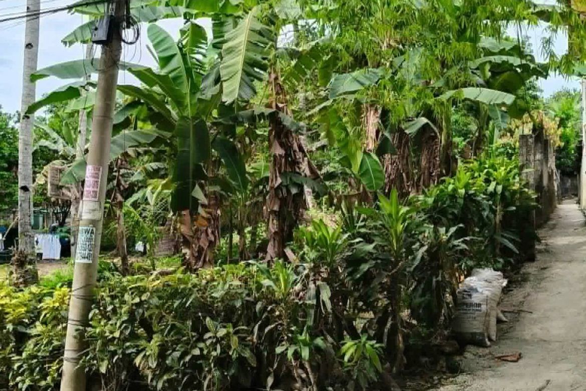 Land for Sale in Poblacion, Liloan, Cebu – photo 2