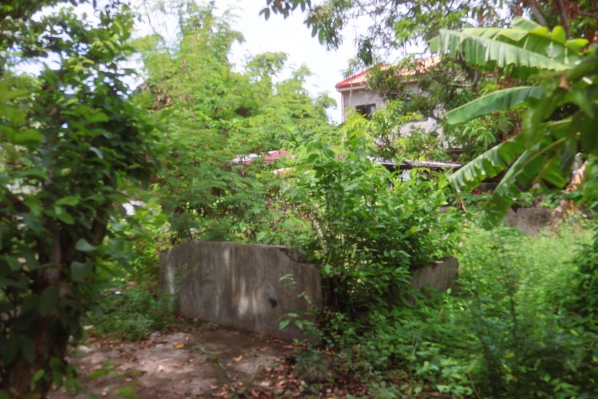 Land for Sale in Poblacion, Lingayen, Pangasinan – photo 6