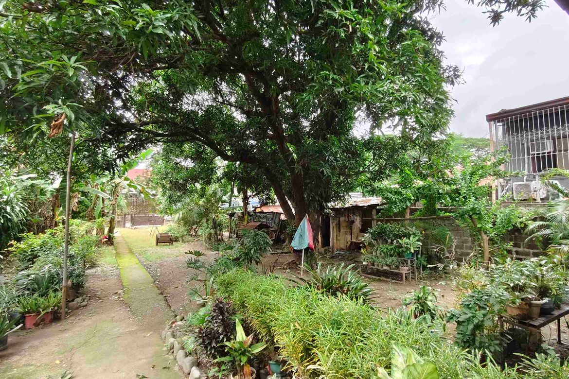 Land for Sale in Poblacion, Mangaldan, Pangasinan – photo 3