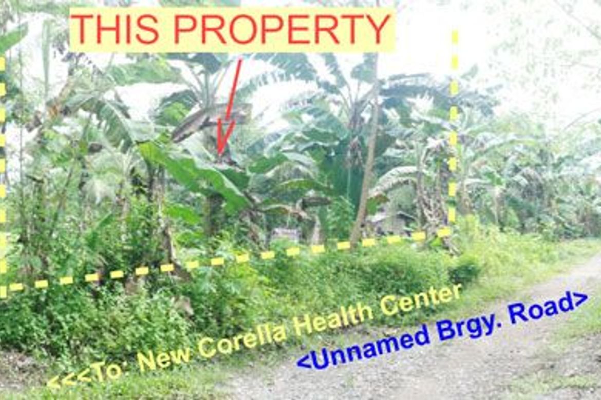 Land for Sale in Poblacion, New Corella, Davao del Norte