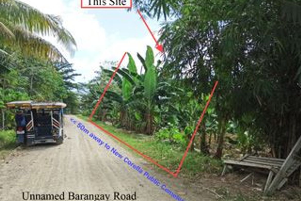 Land for Sale in Poblacion, New Corella, Davao del Norte – photo 5