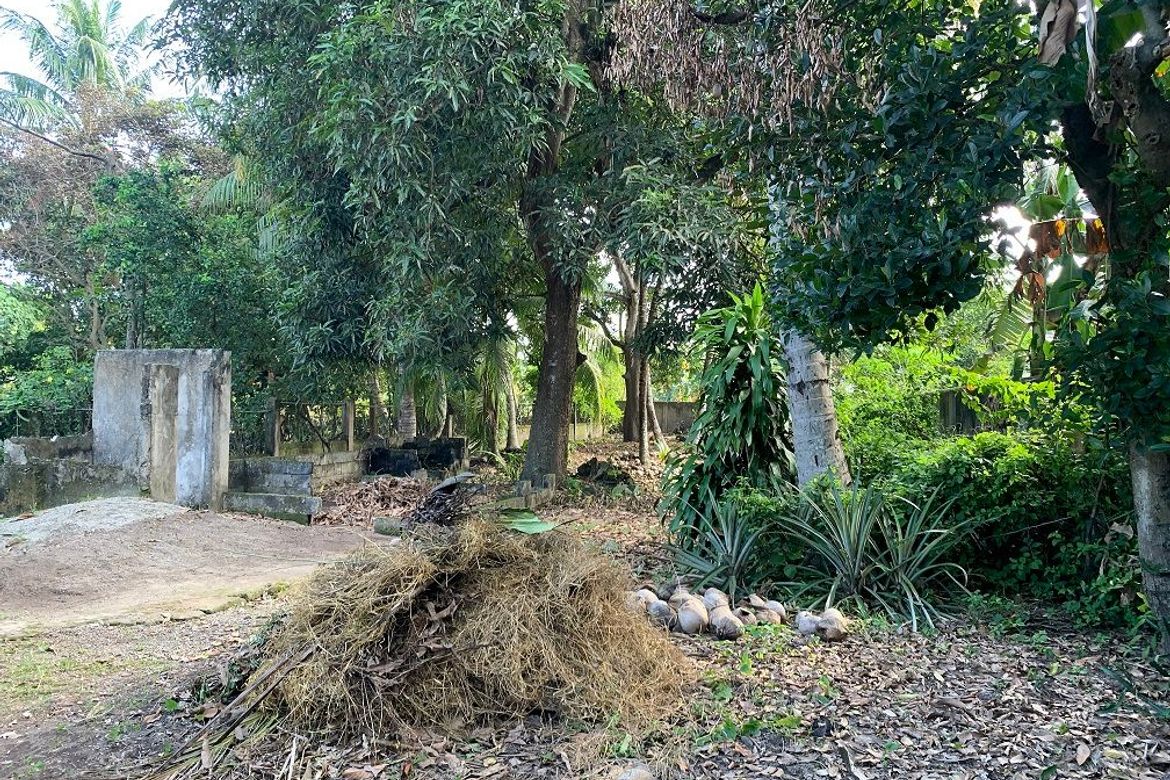 Land for Sale in Poblacion No. 8, Dumaguete, Negros Oriental – photo 6