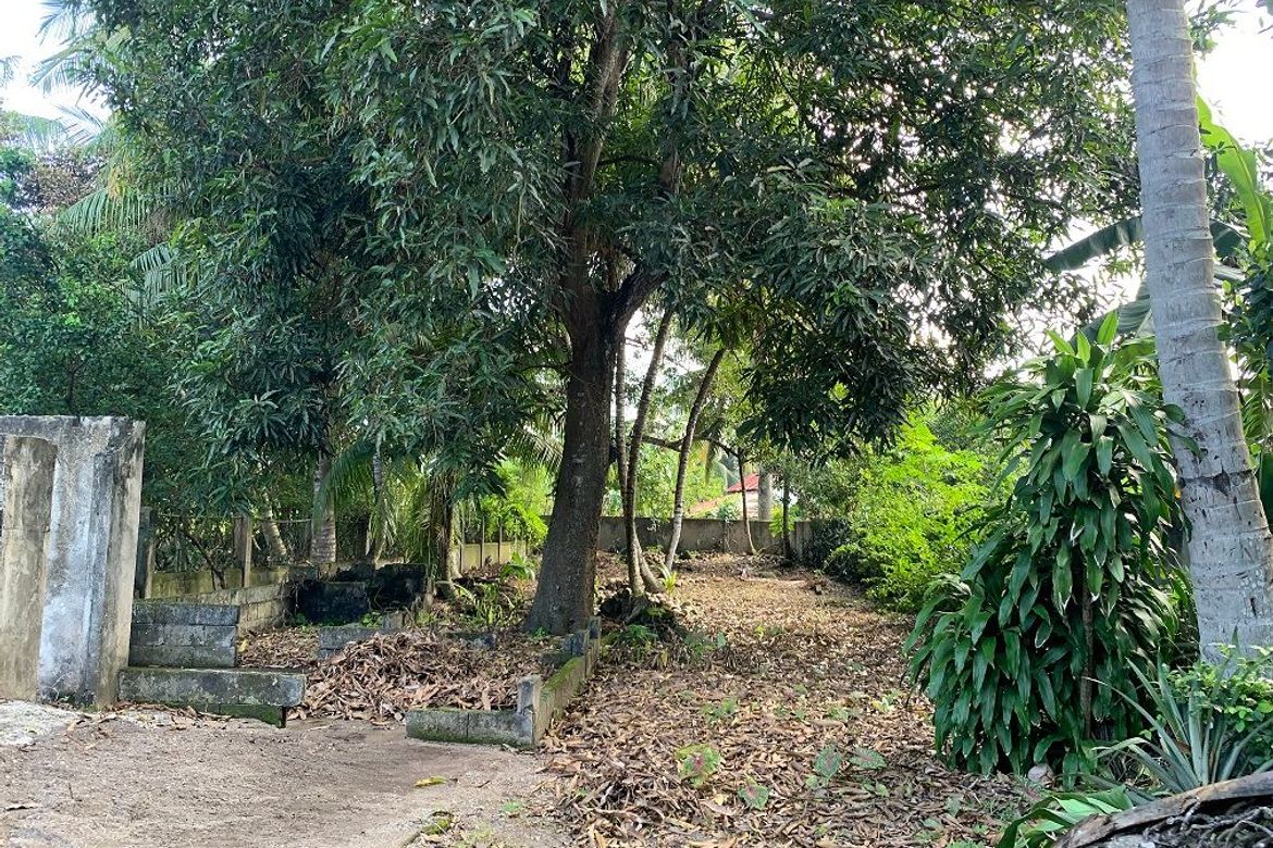 Land for Sale in Poblacion No. 8, Dumaguete, Negros Oriental – photo 7
