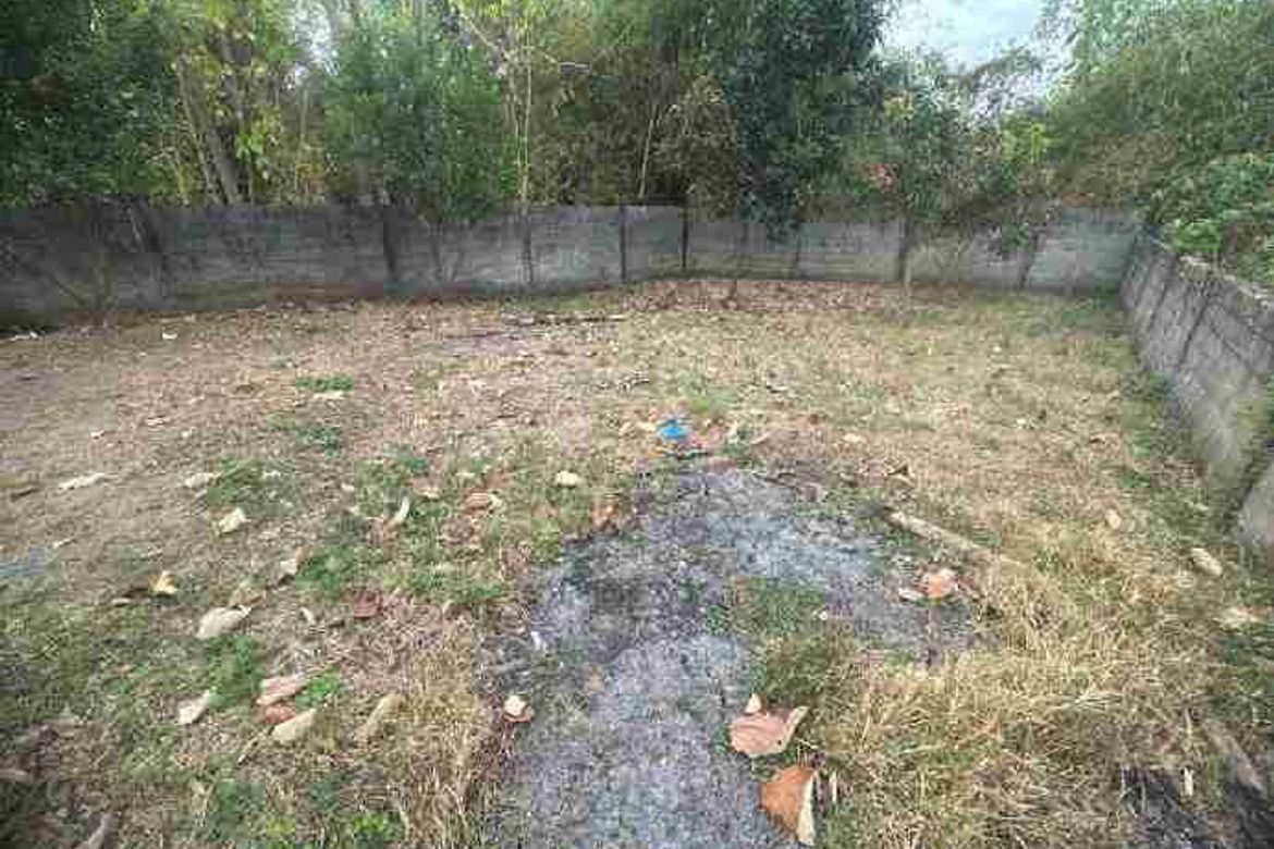 Land for Sale in Poblacion Norte, Paniqui, Tarlac