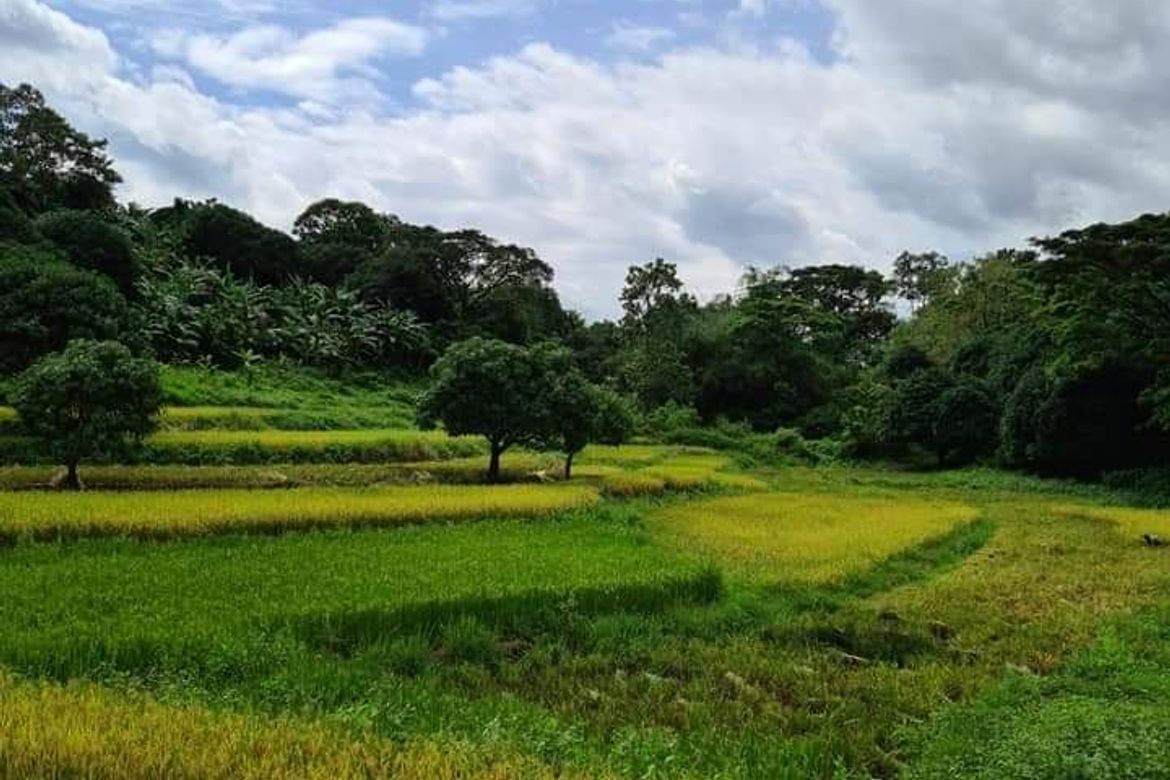 Land for Sale in Poblacion, Norzagaray, Bulacan – photo 5