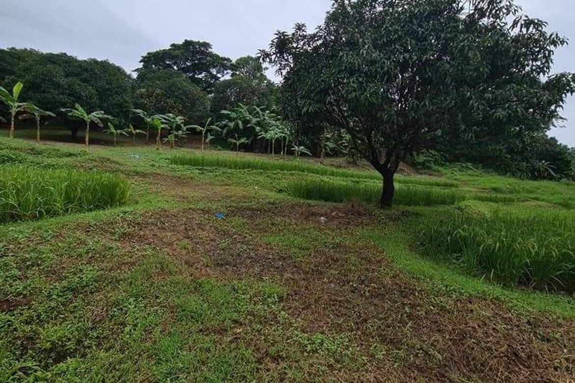 Land for Sale in Poblacion, Norzagaray, Bulacan – photo 6