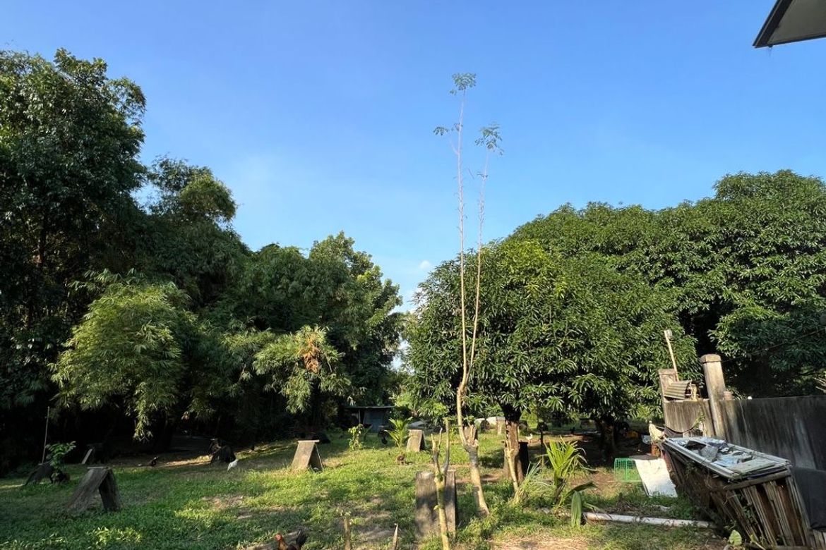Land for Sale in Poblacion, Norzagaray, Bulacan – photo 6