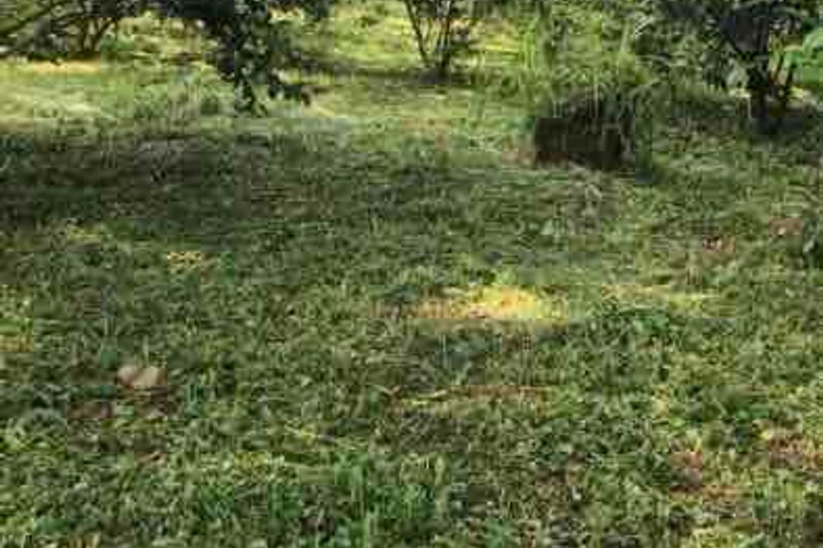 Land for Sale in Poblacion, Norzagaray, Bulacan