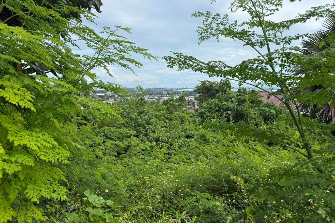 Land for Sale in Poblacion Occidental, Consolacion, Cebu