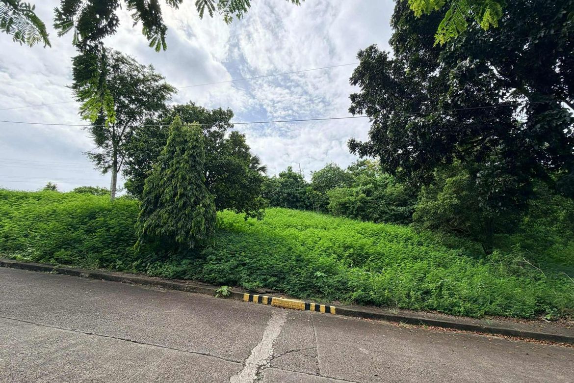 Land for Sale in Poblacion Occidental, Consolacion, Cebu – photo 5