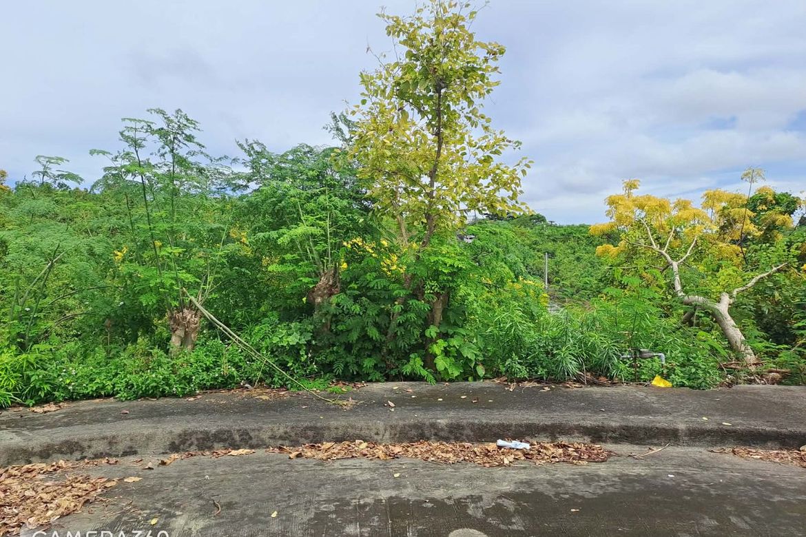 Land for Sale in Poblacion Occidental, Consolacion, Cebu – photo 2