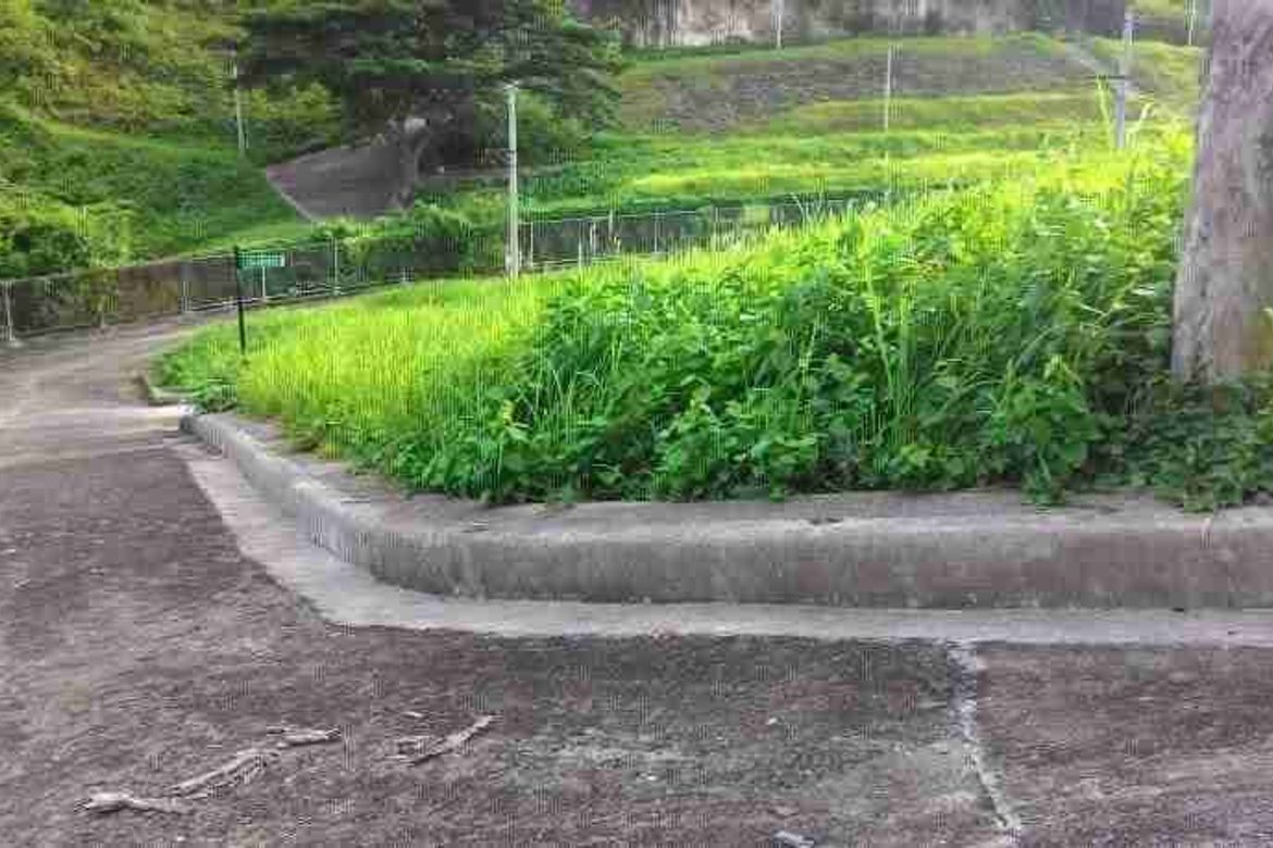 Land for Sale in Poblacion Occidental, Consolacion, Cebu