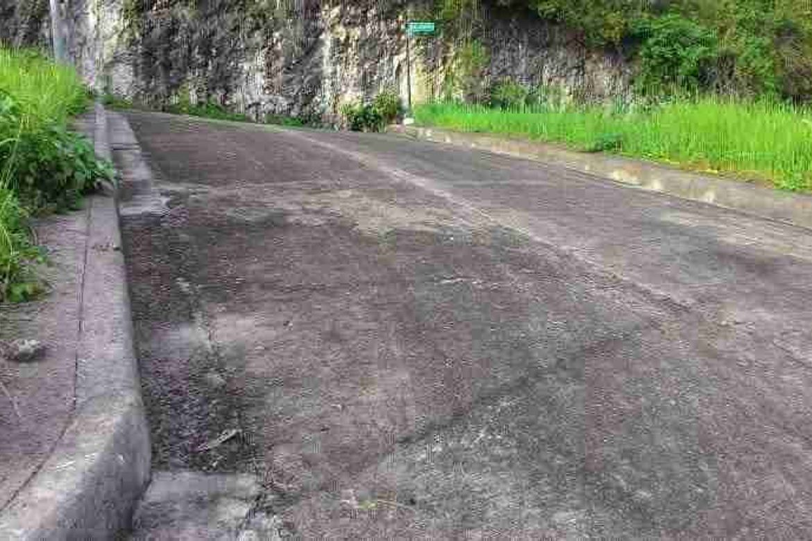Land for Sale in Poblacion Occidental, Consolacion, Cebu – photo 3