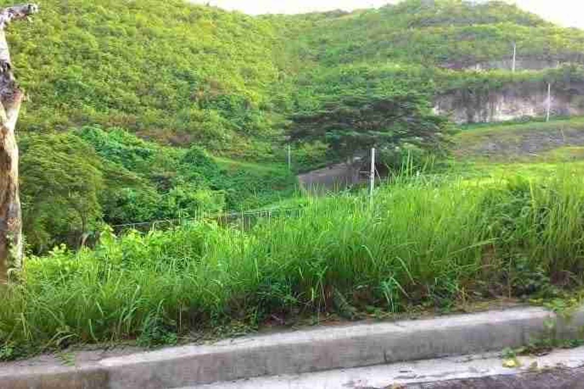 Land for Sale in Poblacion Occidental, Consolacion, Cebu – photo 4