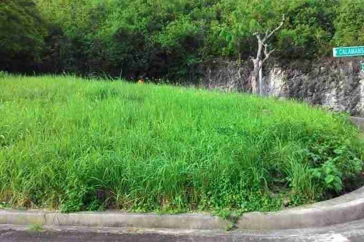 Land for Sale in Poblacion Occidental, Consolacion, Cebu – photo 5