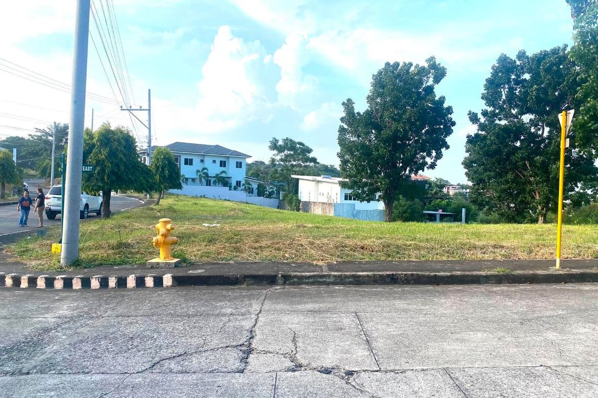 Land for Sale in Poblacion Occidental, Consolacion, Cebu – photo 2